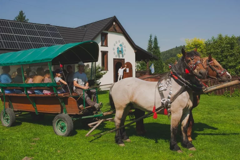 Kozia Zagroda - budynek i fiakier